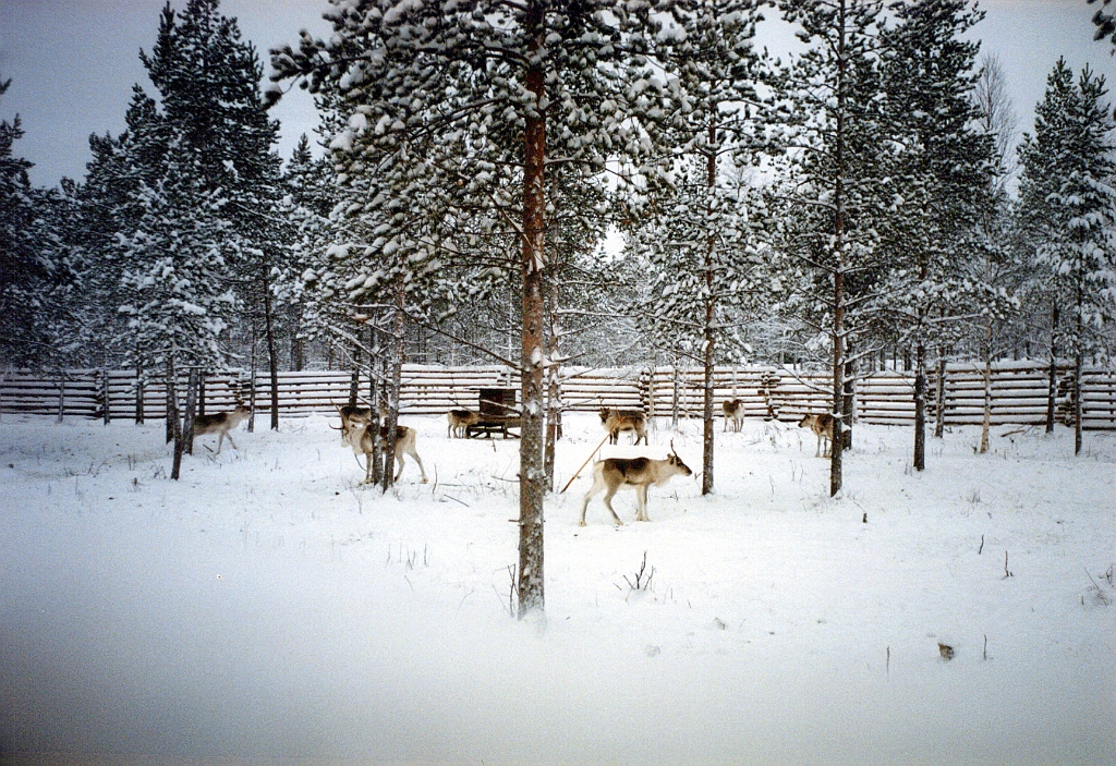 1998 - Finlande 27.jpg